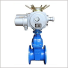 電動彈性座封閘閥