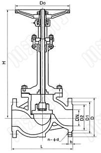 DJ41Y、DJ41W _低溫截止閥結構圖_截止閥廠家
