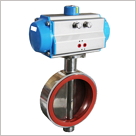 氣動衛生級對夾蝶閥